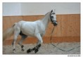 /album/vystavy/a2586-duellano-smolka-2-jpg/